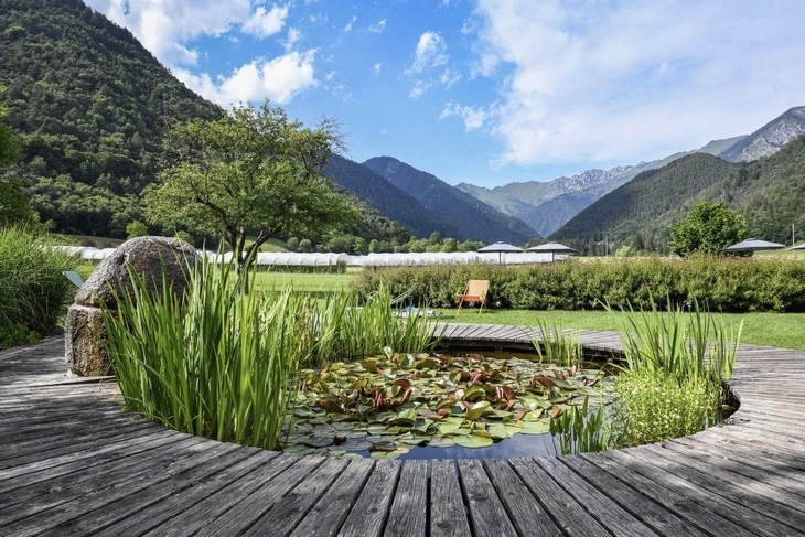 Garten mit Seerosenteich, umgeben von Bergen und grünem Rasen im Hotel Da Elda.