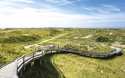 Holzbrücke über Dünenlandschaft auf Norderney unter blauem Himmel