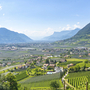 Panoramablick auf Meran und umliegende Weinberge vor einer Bergkulisse.