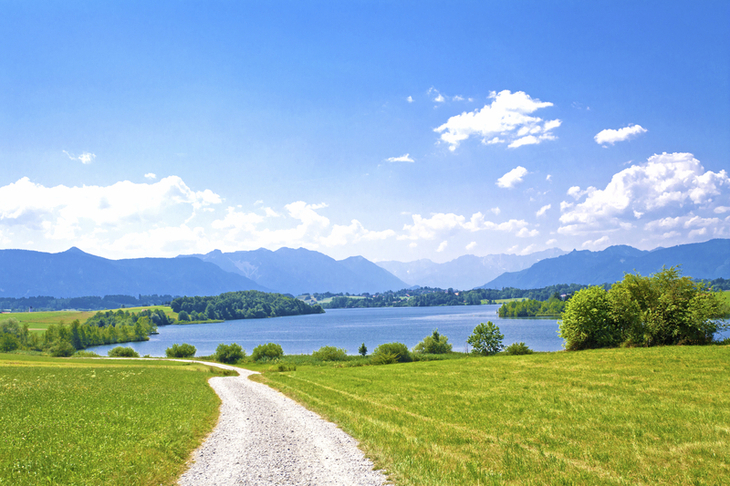 Weg führt durch grüne Wiesen zum Riegsee, Berge und blauer Himmel im Hintergrund.