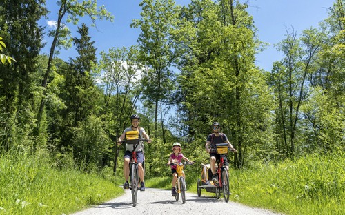 Familie auf Fahrradtour im Grünen auf einem sonnigen Waldweg.