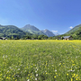 Berglandschaft mit Wiese und blauem Himmel im Salzkammergut.