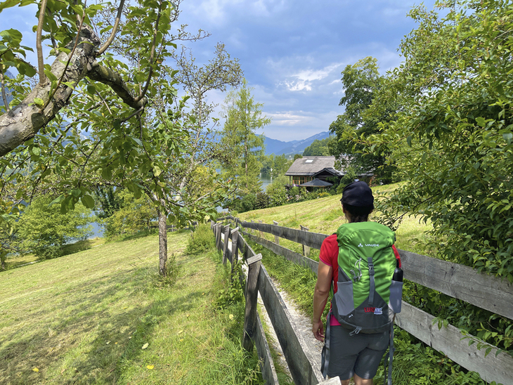Wanderer auf Pfad an einem Apfelbaum mit Almhütte im Salzkammergut.