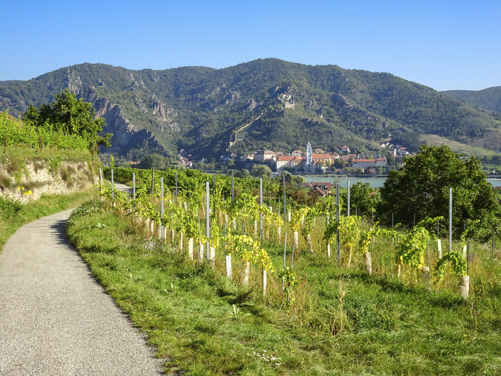 Wanderweg durch Weinberge mit Blick auf Dürnstein in der Wachau bei sonnigem Wetter.
