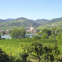 Blick auf Weissenkirchen mit Kirche und Weinbergen in der Wachau, Österreich.
