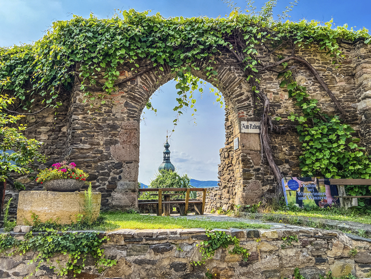 Blick durch ein bewachsenes Steinportal auf einen Kirchturm in Krems, umgeben von Pflanzen.