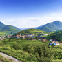 Weinberge und das Dorf Weißenkirchen in der Wachau mit hügeliger Landschaft im Hintergrund.