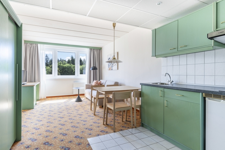 Grüner Küchenbereich mit Esstisch, Sofa und großem Fenster.