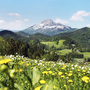 Bergpanorama mit Wiesenblumen und entfernten Bergen im Hintergrund.